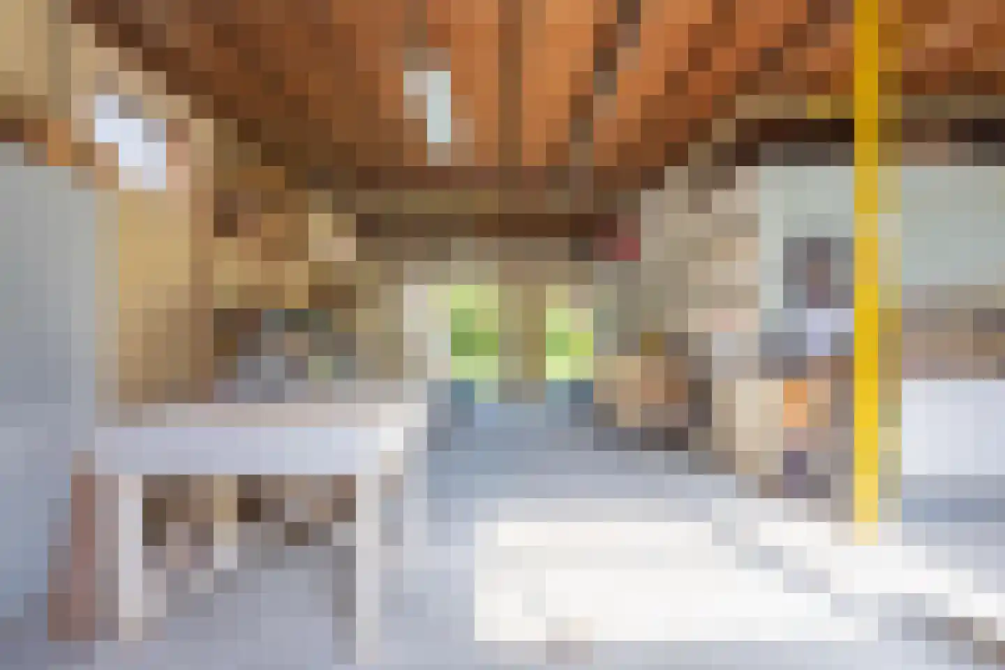 Molenstraat 1 Maurik thumbnail 71