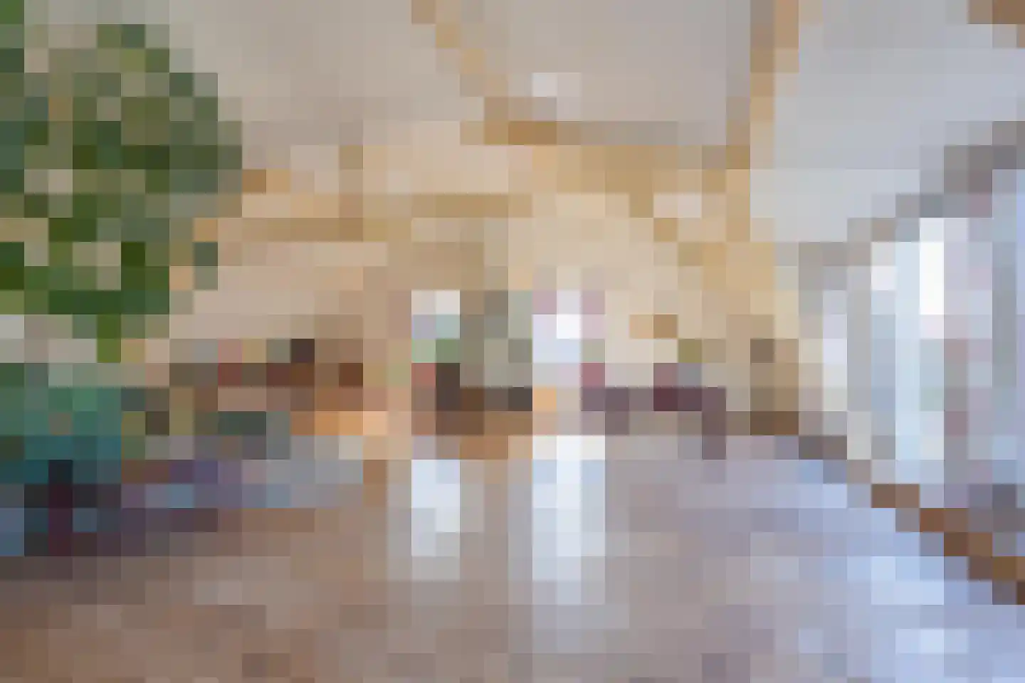 Molenstraat 1 Maurik thumbnail 79