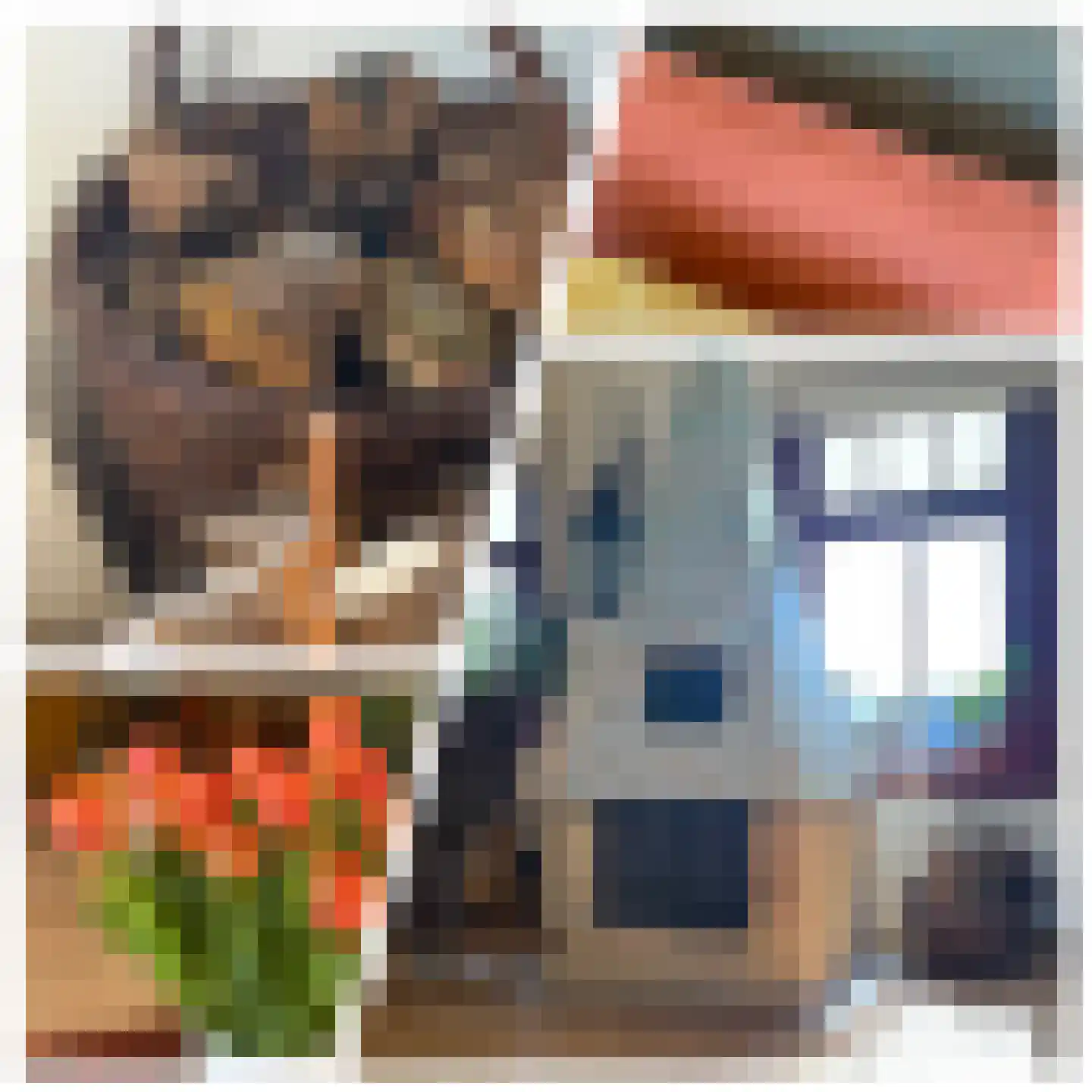 Molenstraat 1 Maurik thumbnail 82