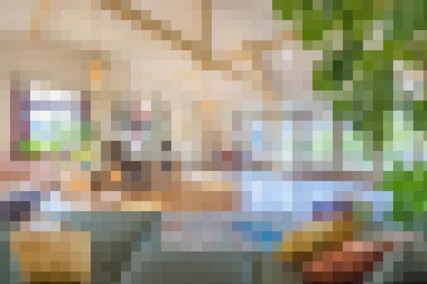 Molenstraat 1 Maurik thumbnail 87