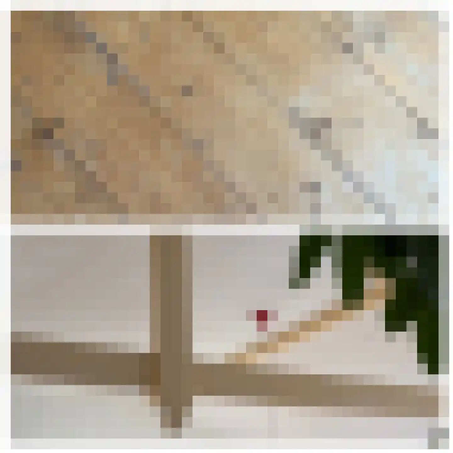 Molenstraat 1 Maurik thumbnail 93