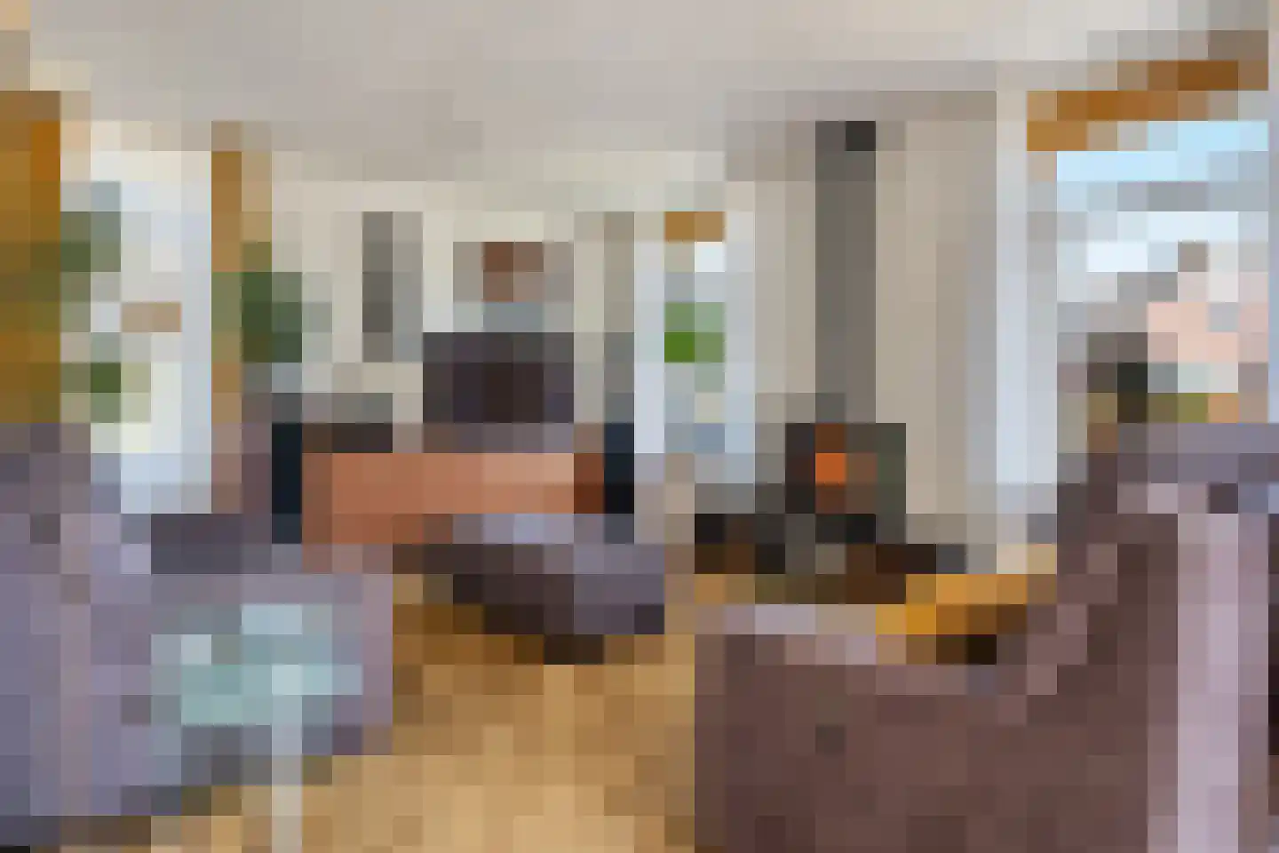 Molenstraat 1 Vries thumbnail 13