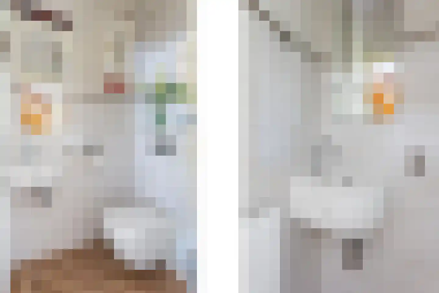 Molenstraat 1 Vries thumbnail 21