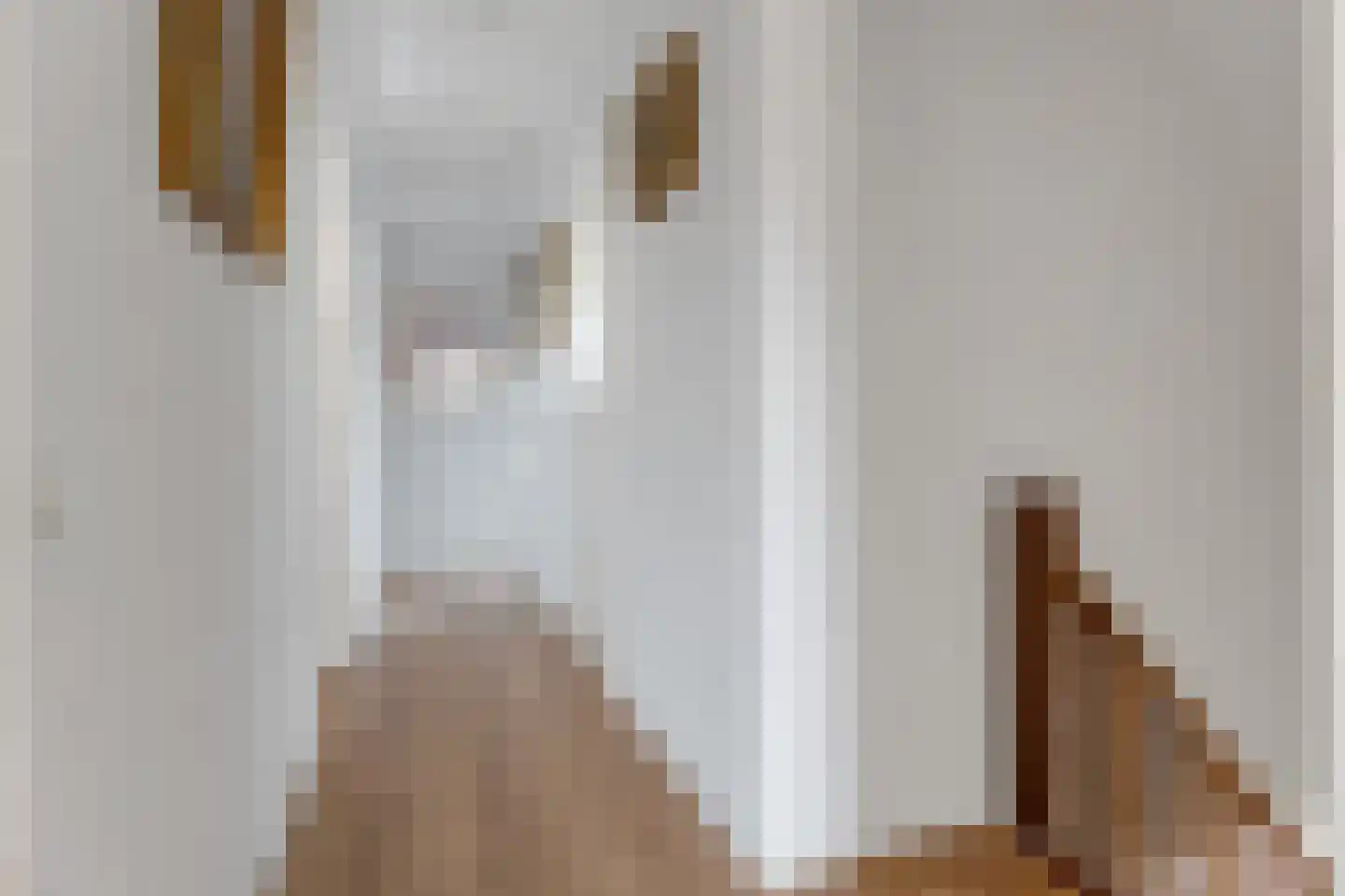 Molenstraat 1 Vries thumbnail 22