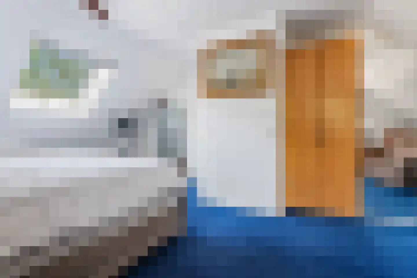 Molenstraat 1 Vries thumbnail 26