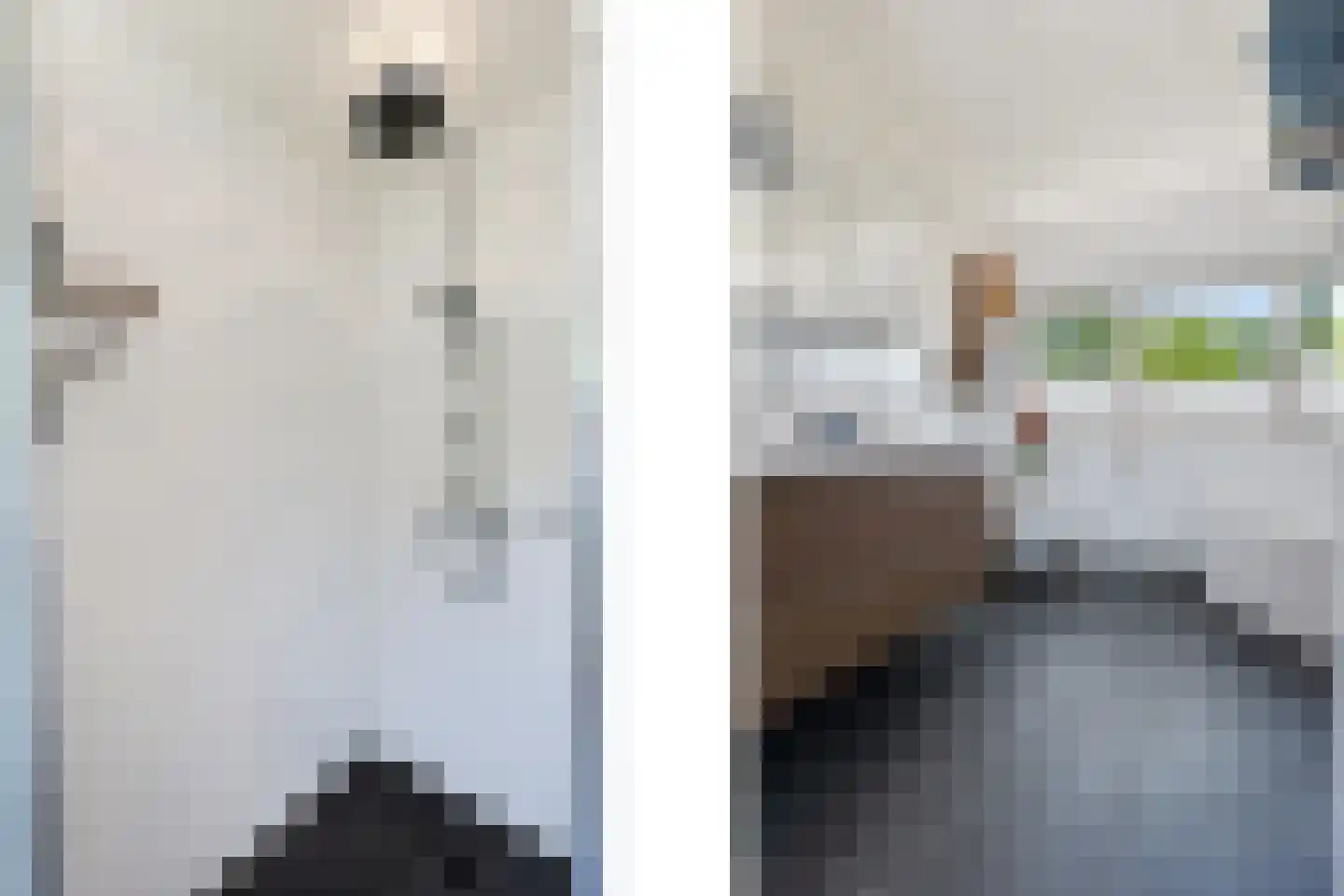 Molenstraat 1 Vries thumbnail 29