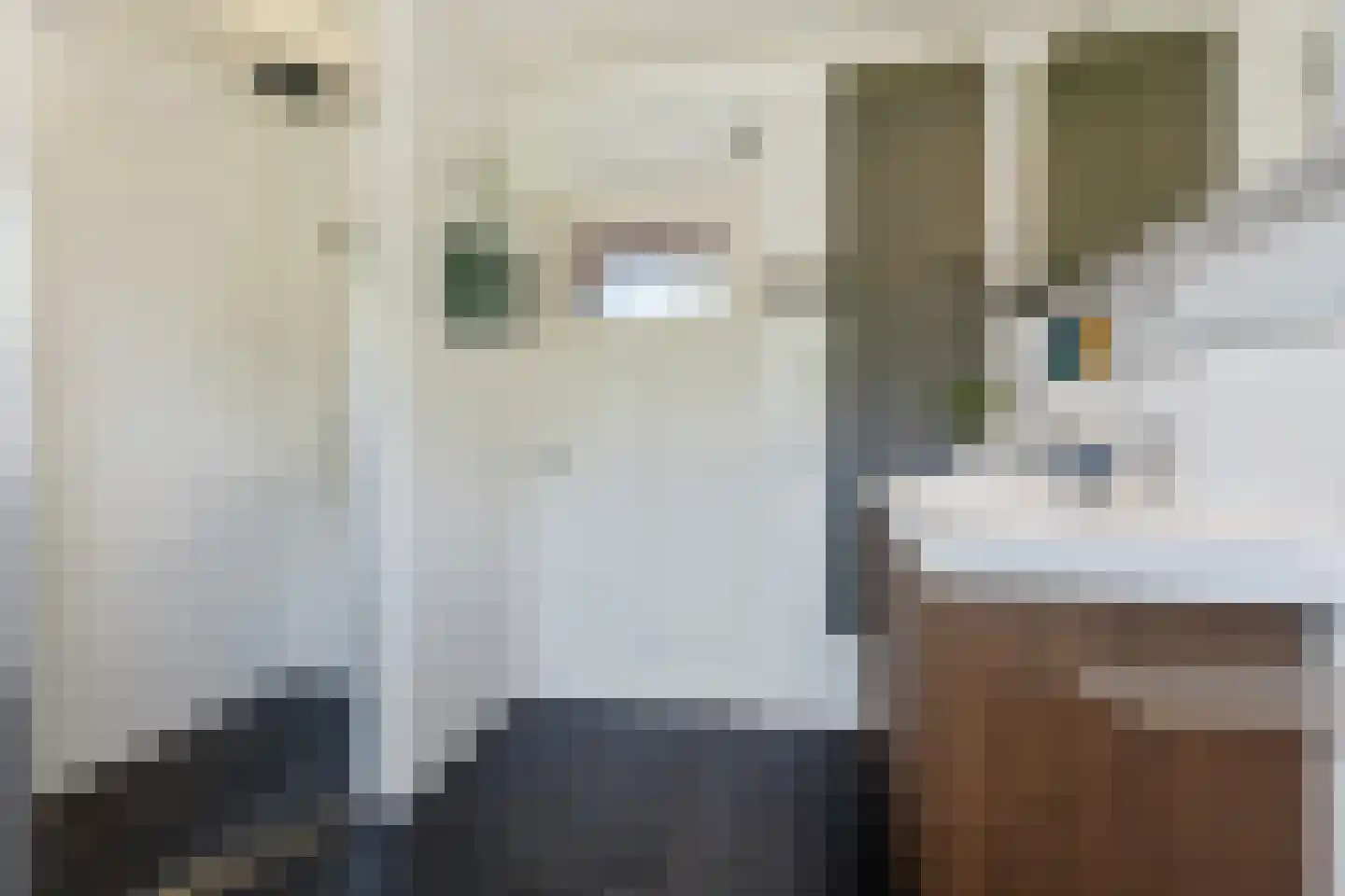 Molenstraat 1 Vries thumbnail 30