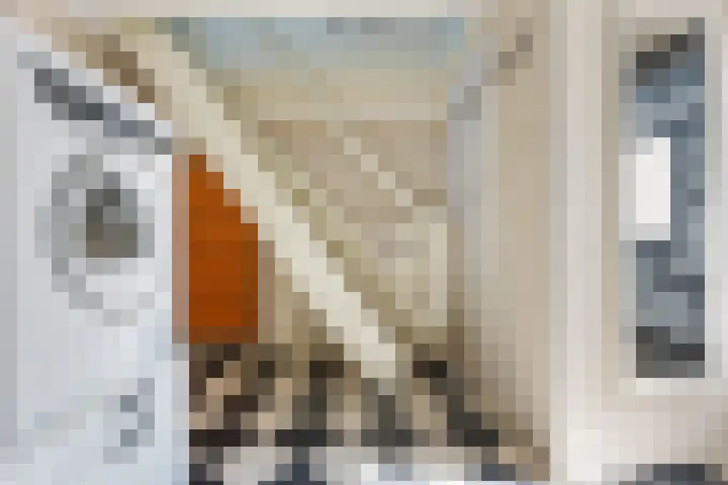 Molenstraat 1 Vries thumbnail 36