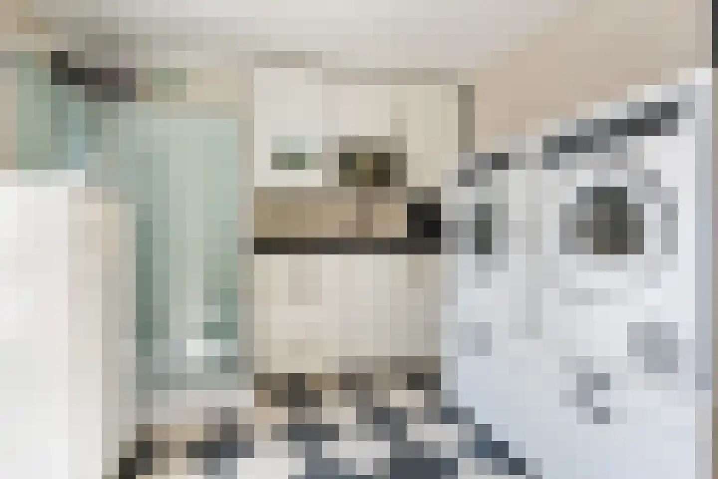 Molenstraat 1 Vries thumbnail 37