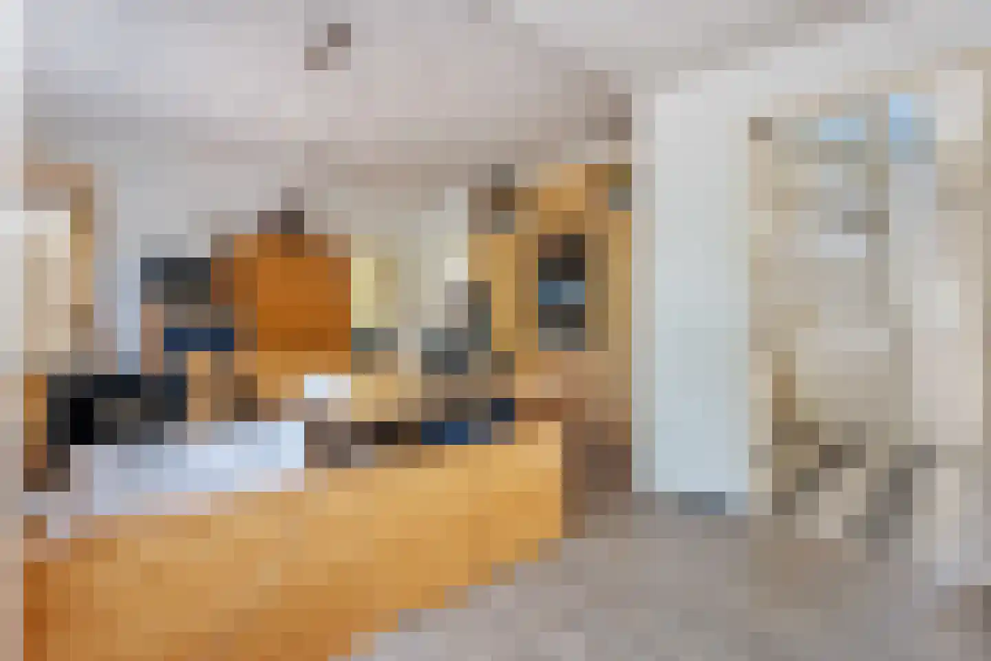 Molenstraat 1 Vries thumbnail 38