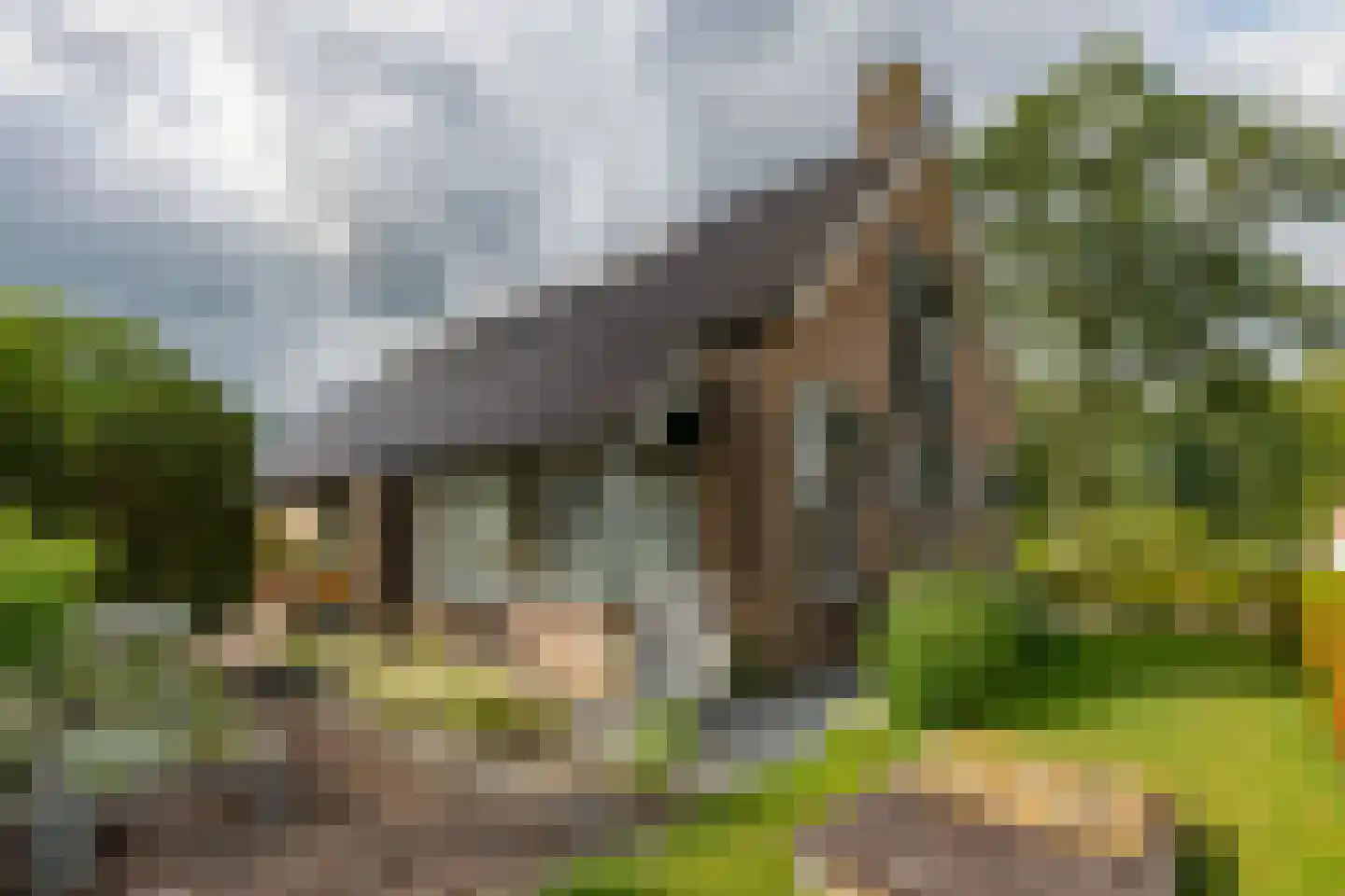 Molenstraat 1 Vries thumbnail 45