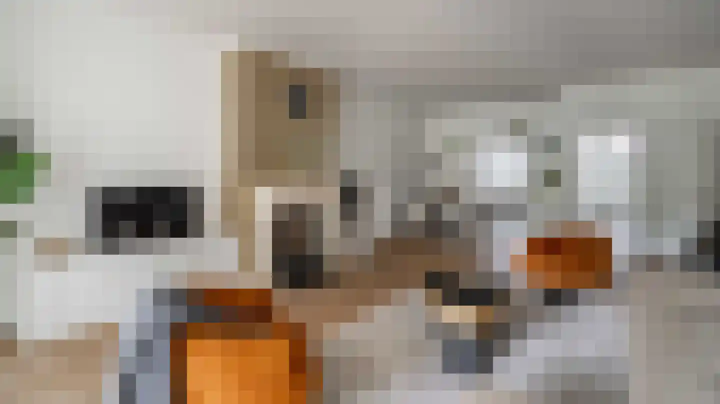 Molenstraat 10 Almelo thumbnail 10