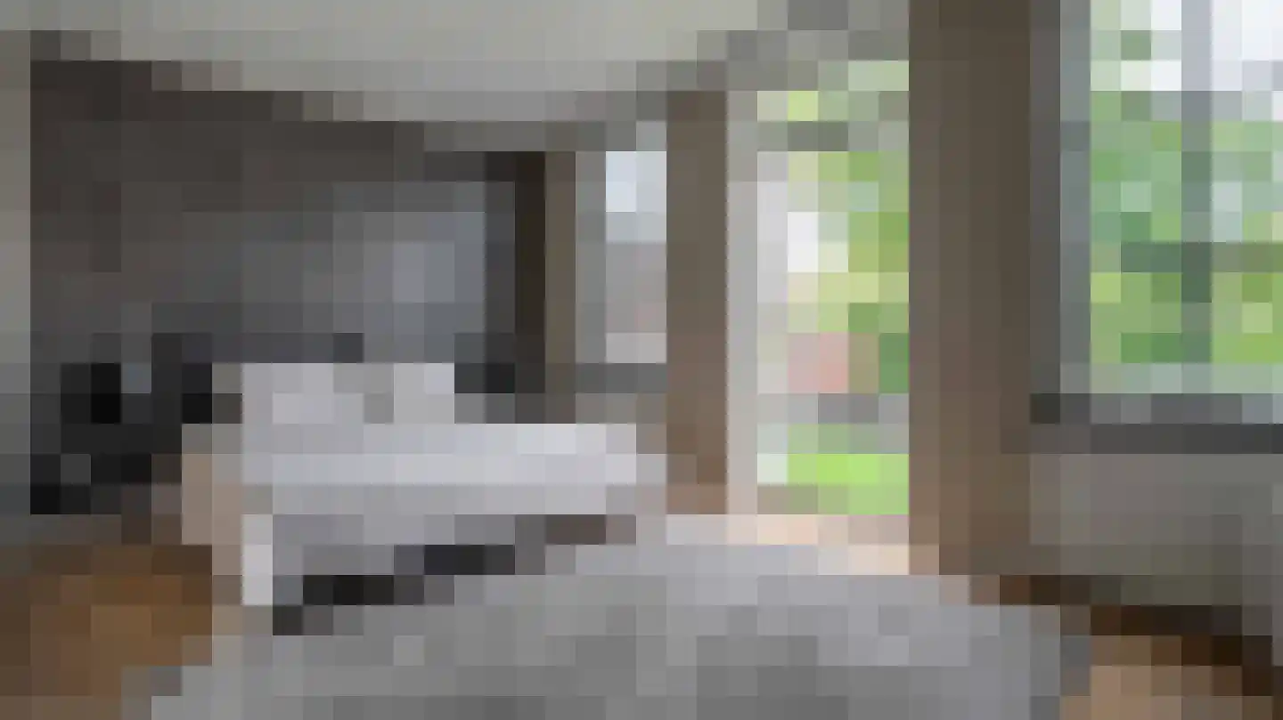 Molenstraat 10 Almelo thumbnail 27