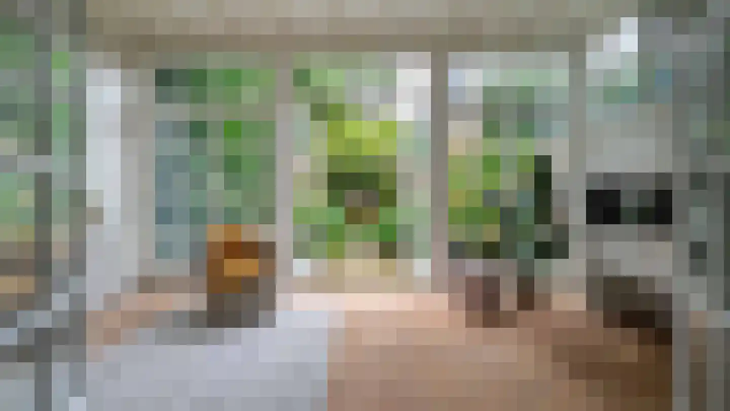 Molenstraat 10 Almelo thumbnail 4