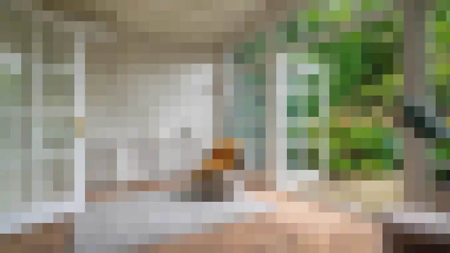 Molenstraat 10 Almelo thumbnail 6