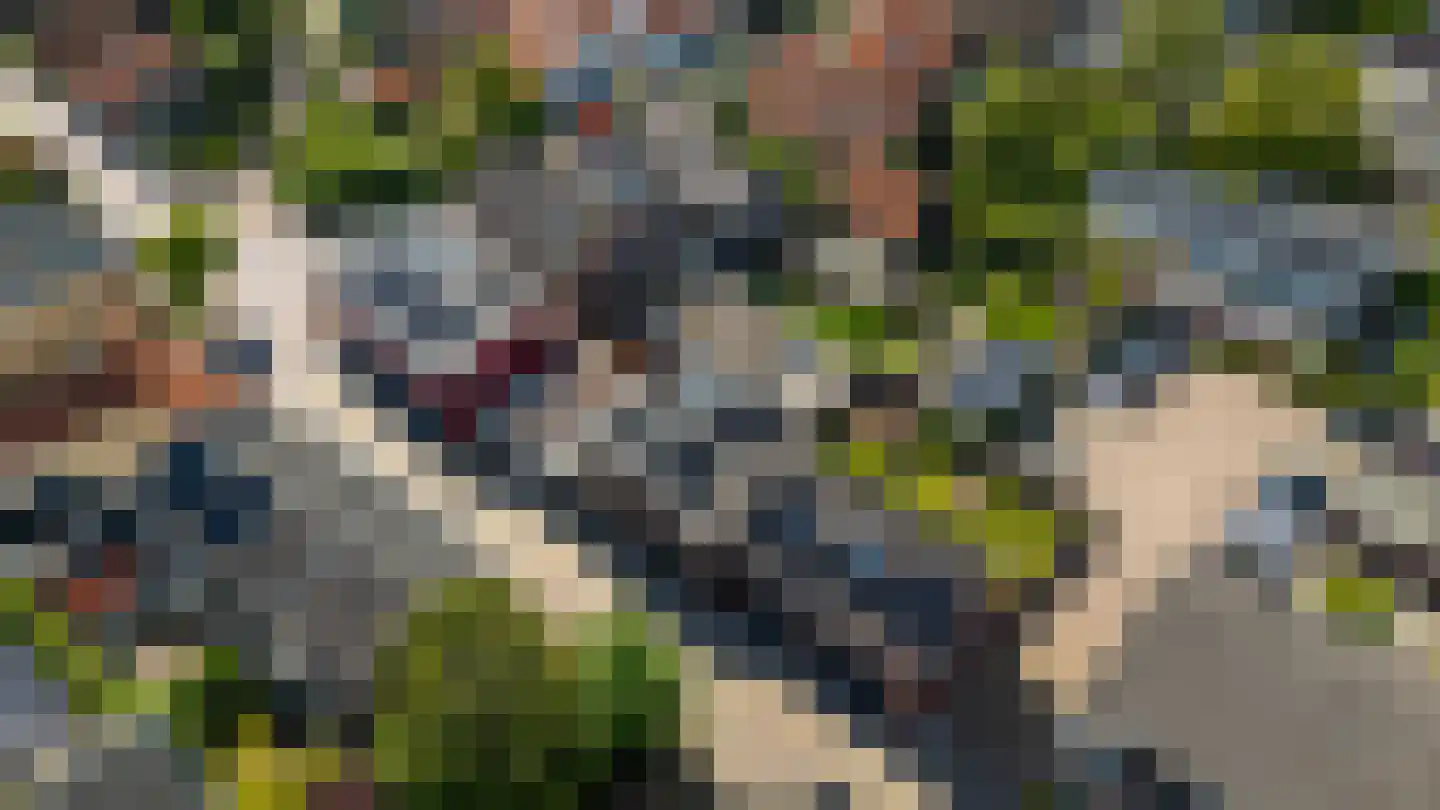 Molenstraat 10 Amerongen thumbnail 17