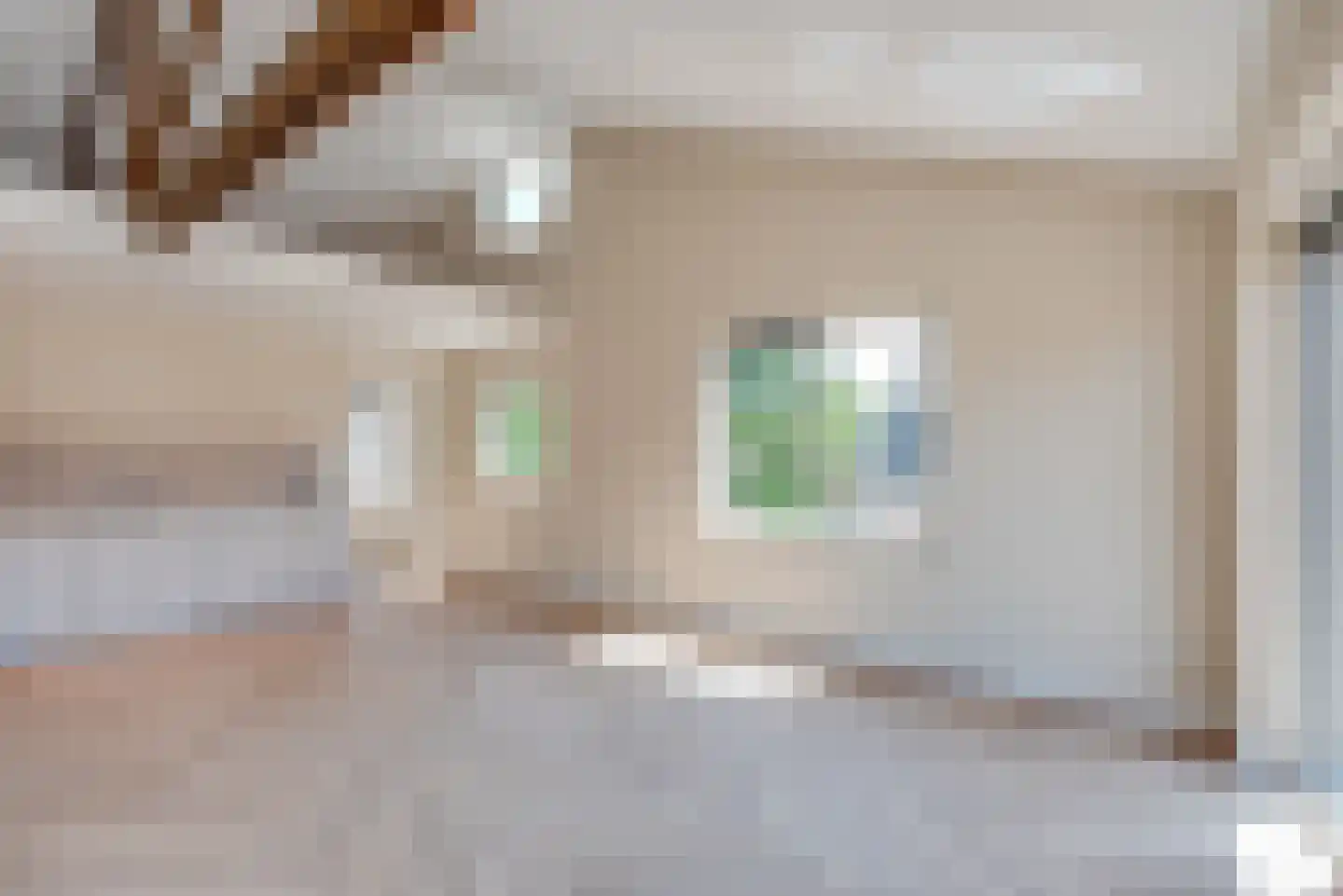 Molenstraat 10 Amerongen thumbnail 5