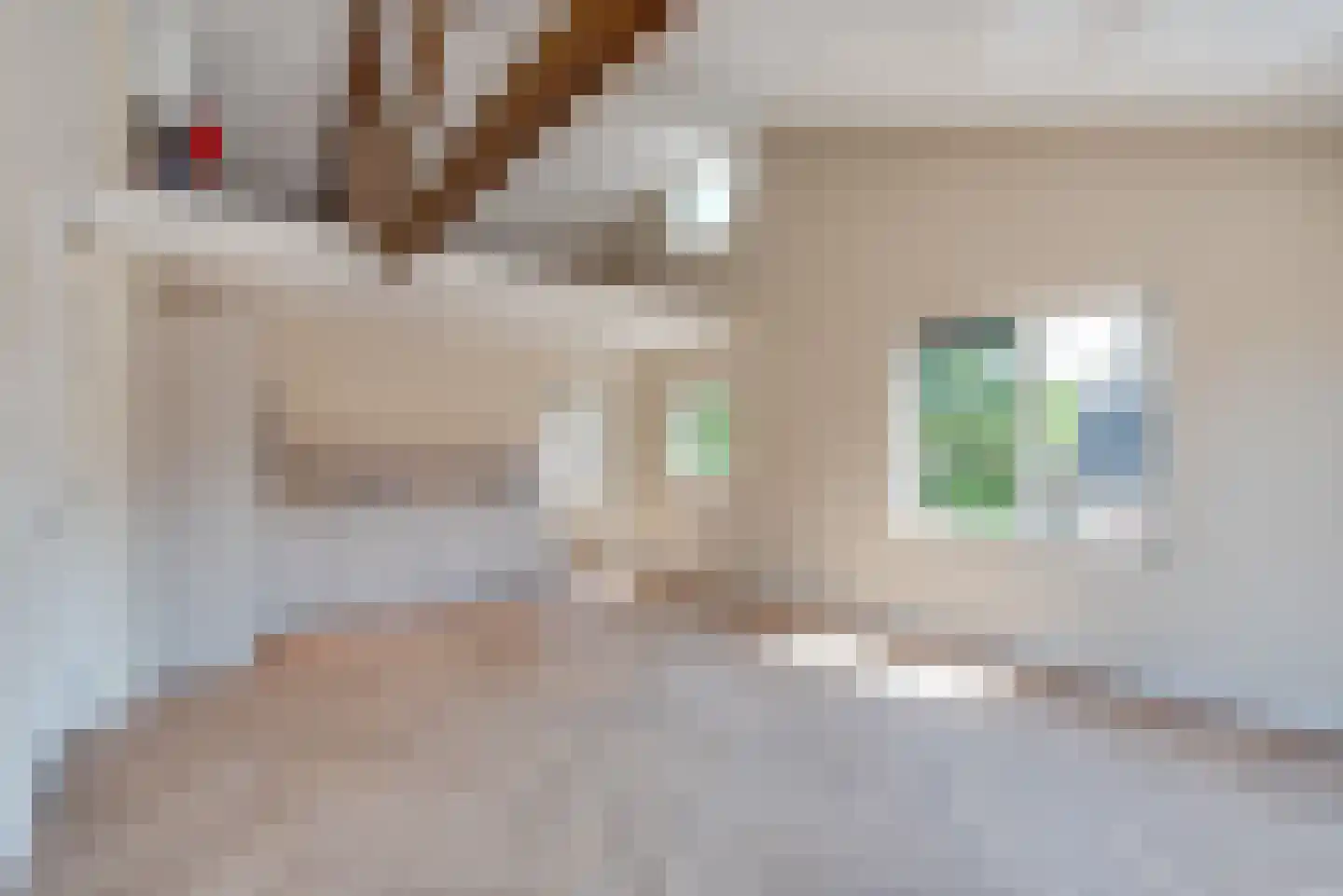 Molenstraat 10 Amerongen thumbnail 7