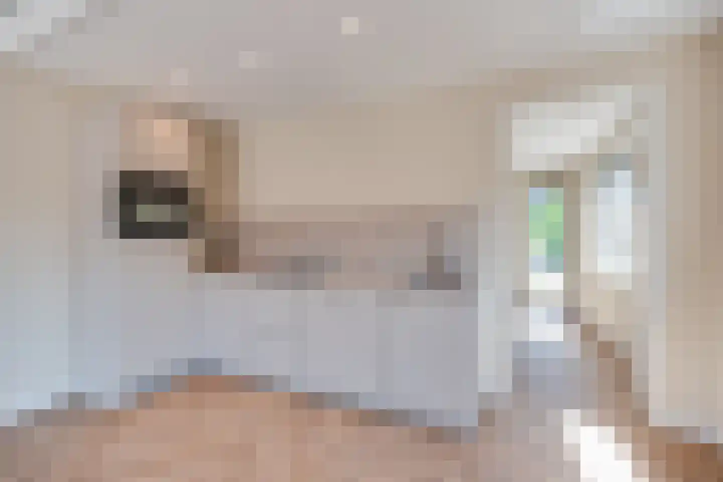 Molenstraat 10 Amerongen thumbnail 8