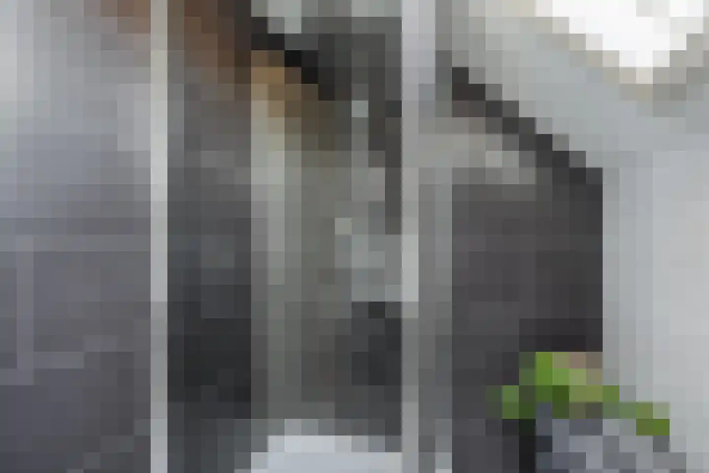 Molenstraat 10 Berlicum thumbnail 19