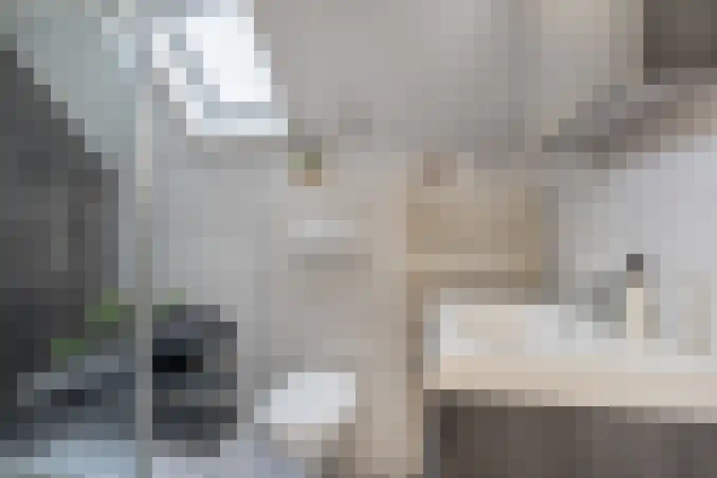 Molenstraat 10 Berlicum thumbnail 20