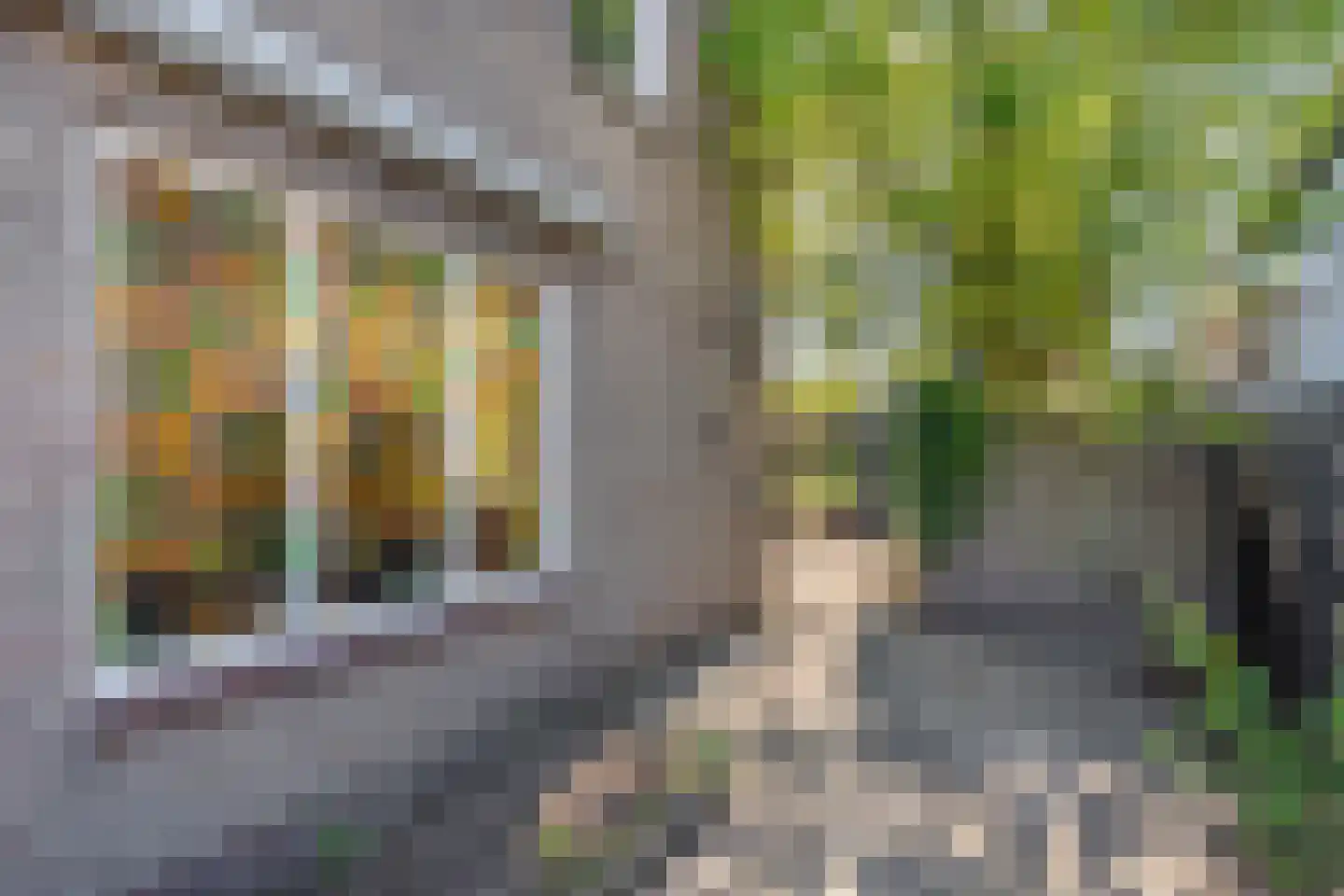 Molenstraat 10 Berlicum thumbnail 28
