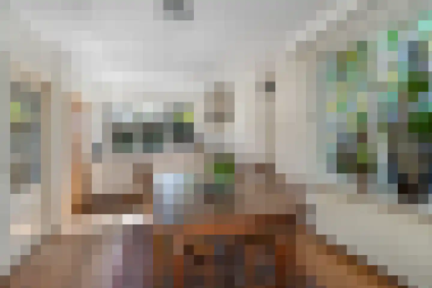Molenstraat 10 Berlicum thumbnail 4
