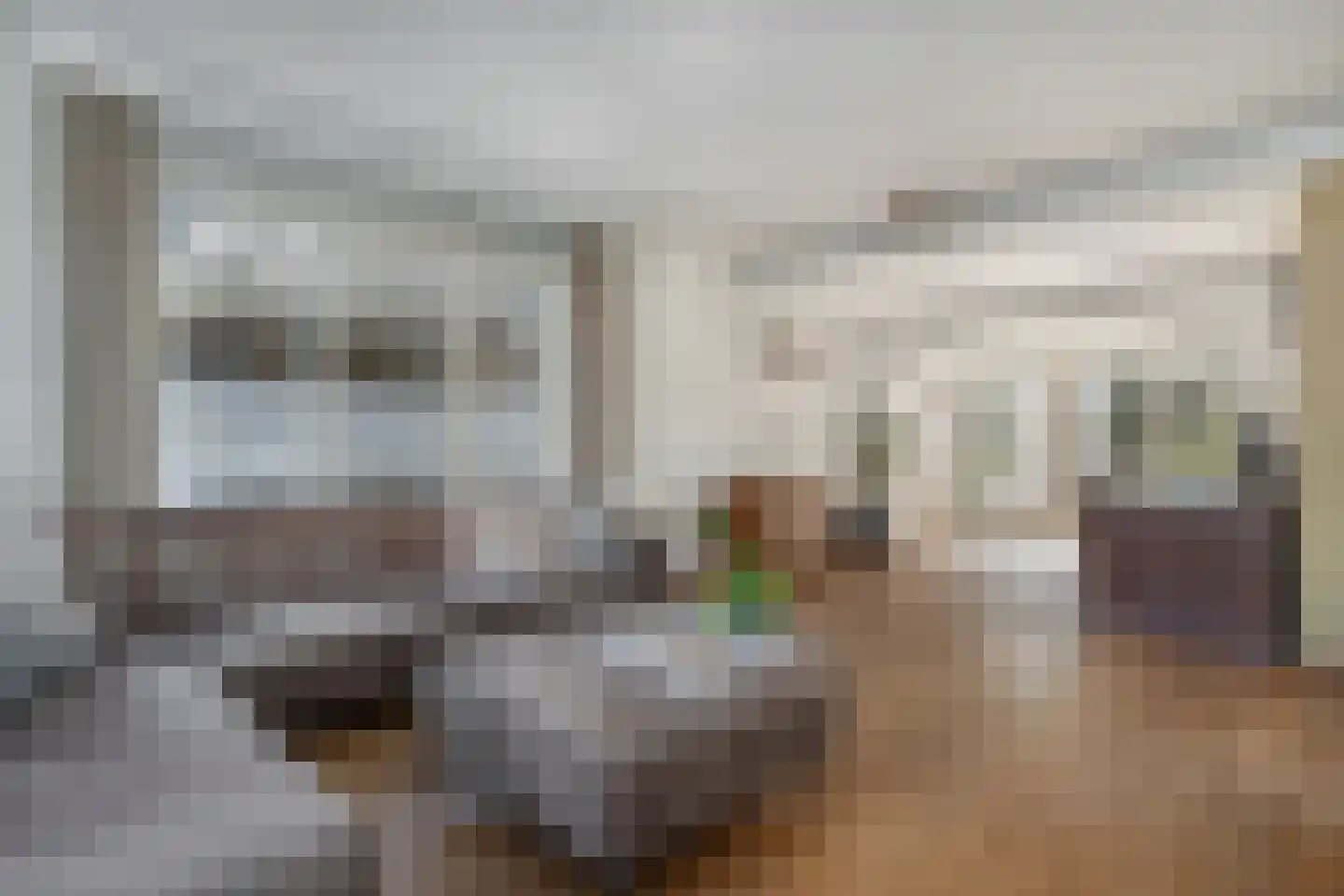 Molenstraat 10 Berlicum thumbnail 6