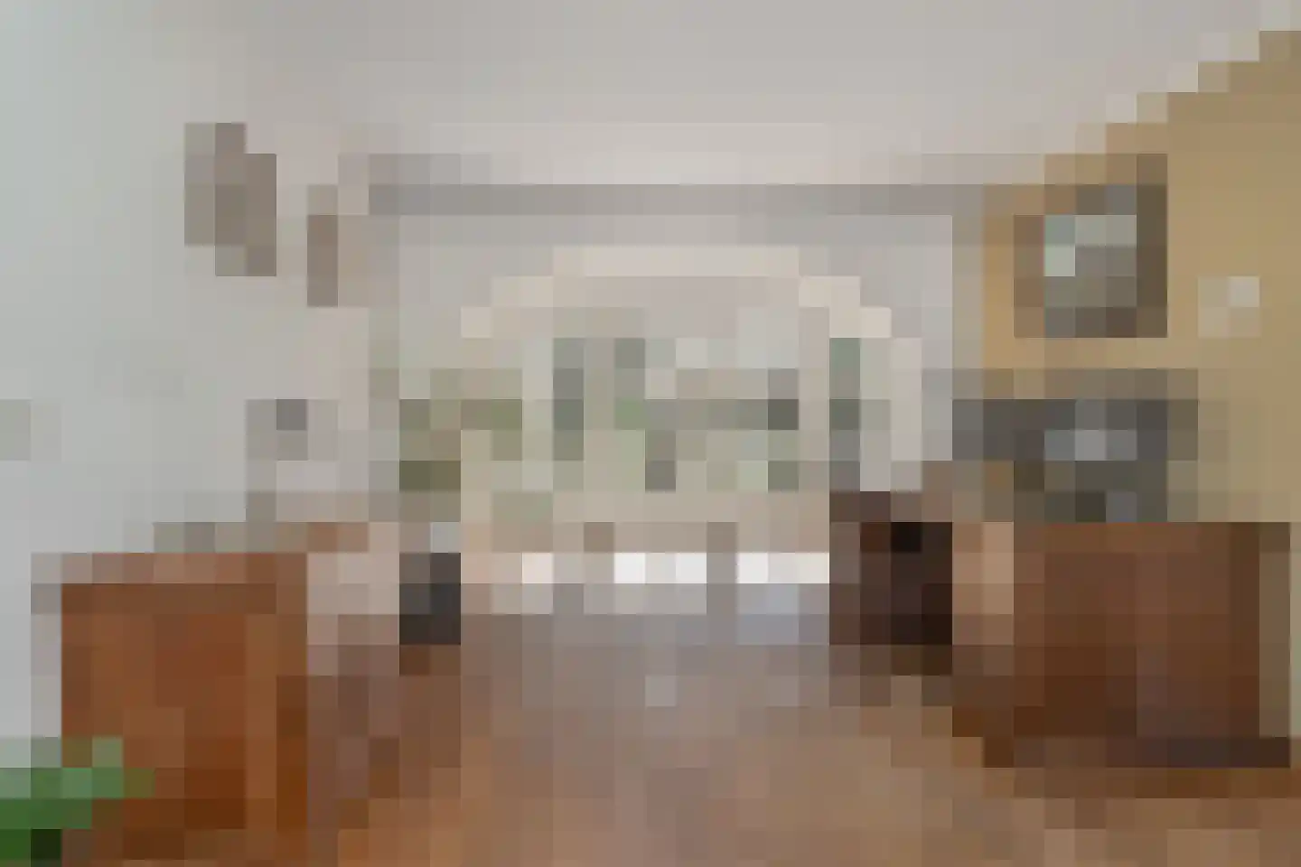 Molenstraat 10 Berlicum thumbnail 9