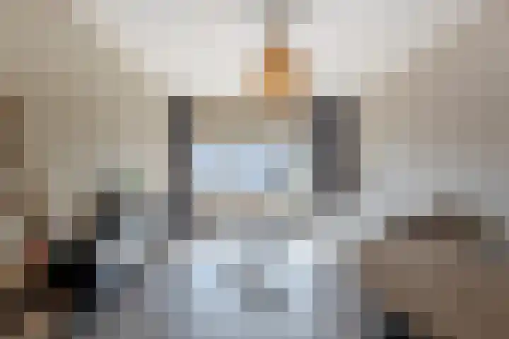 Molenstraat 10 D Ameide thumbnail 13