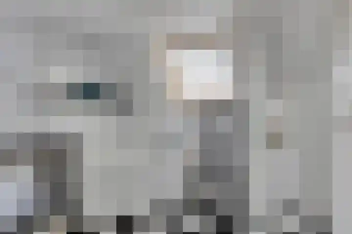 Molenstraat 10 Goedereede thumbnail 21