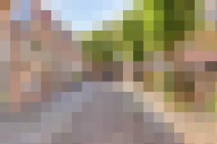Molenstraat 10 Goedereede thumbnail 35