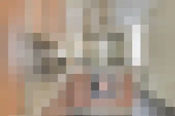 Molenstraat 10 Goedereede thumbnail 7