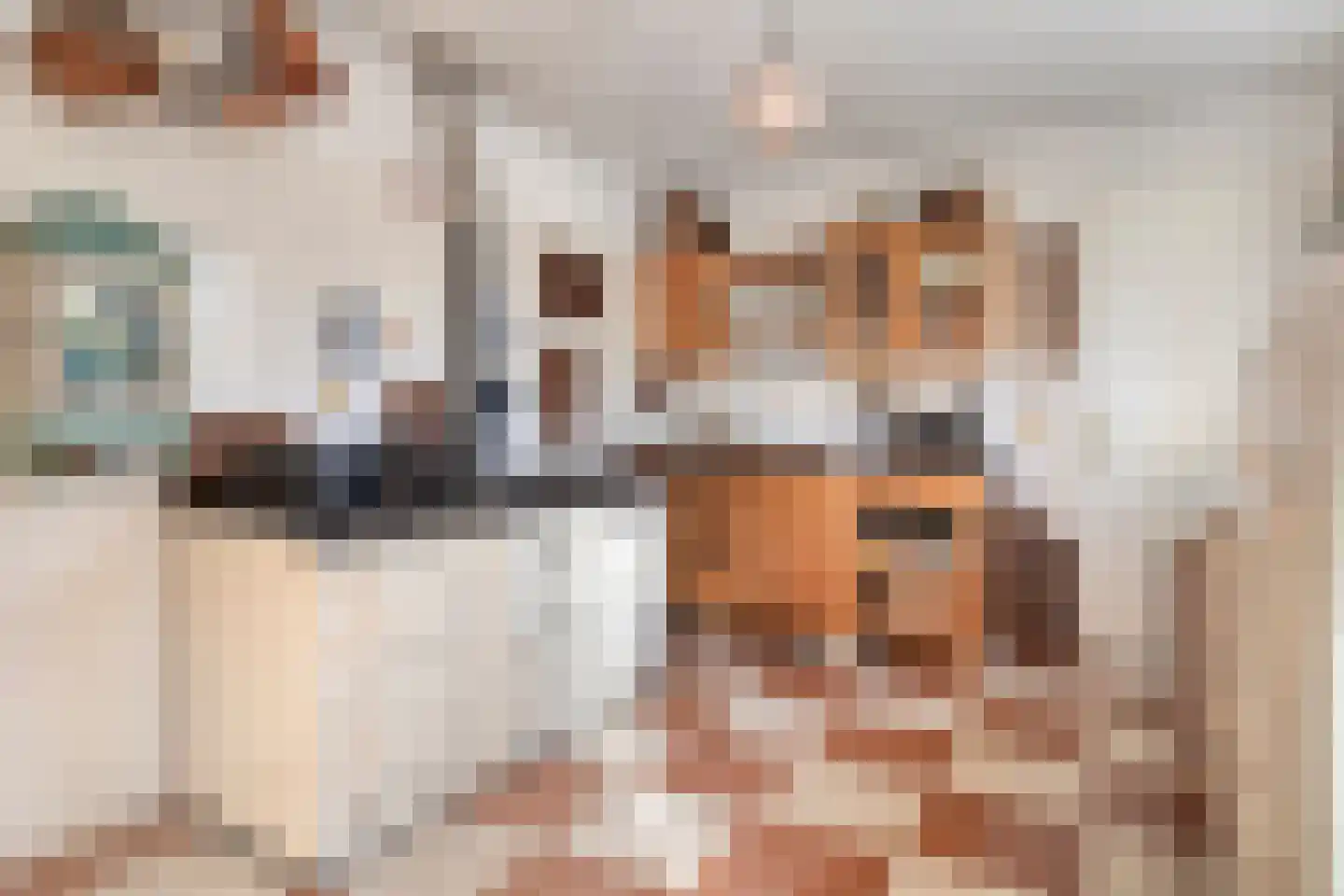 Molenstraat 10 Grijpskerke thumbnail 13