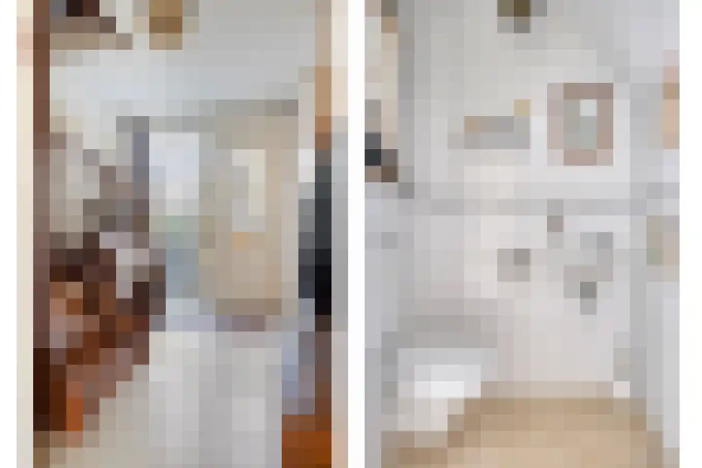 Molenstraat 10 Grijpskerke thumbnail 23