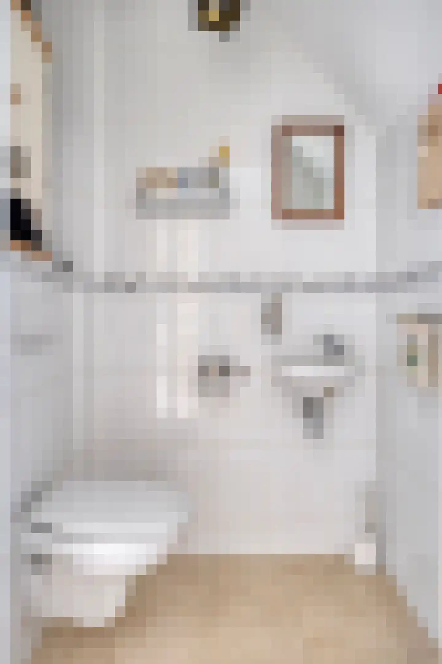 Molenstraat 10 Grijpskerke thumbnail 24