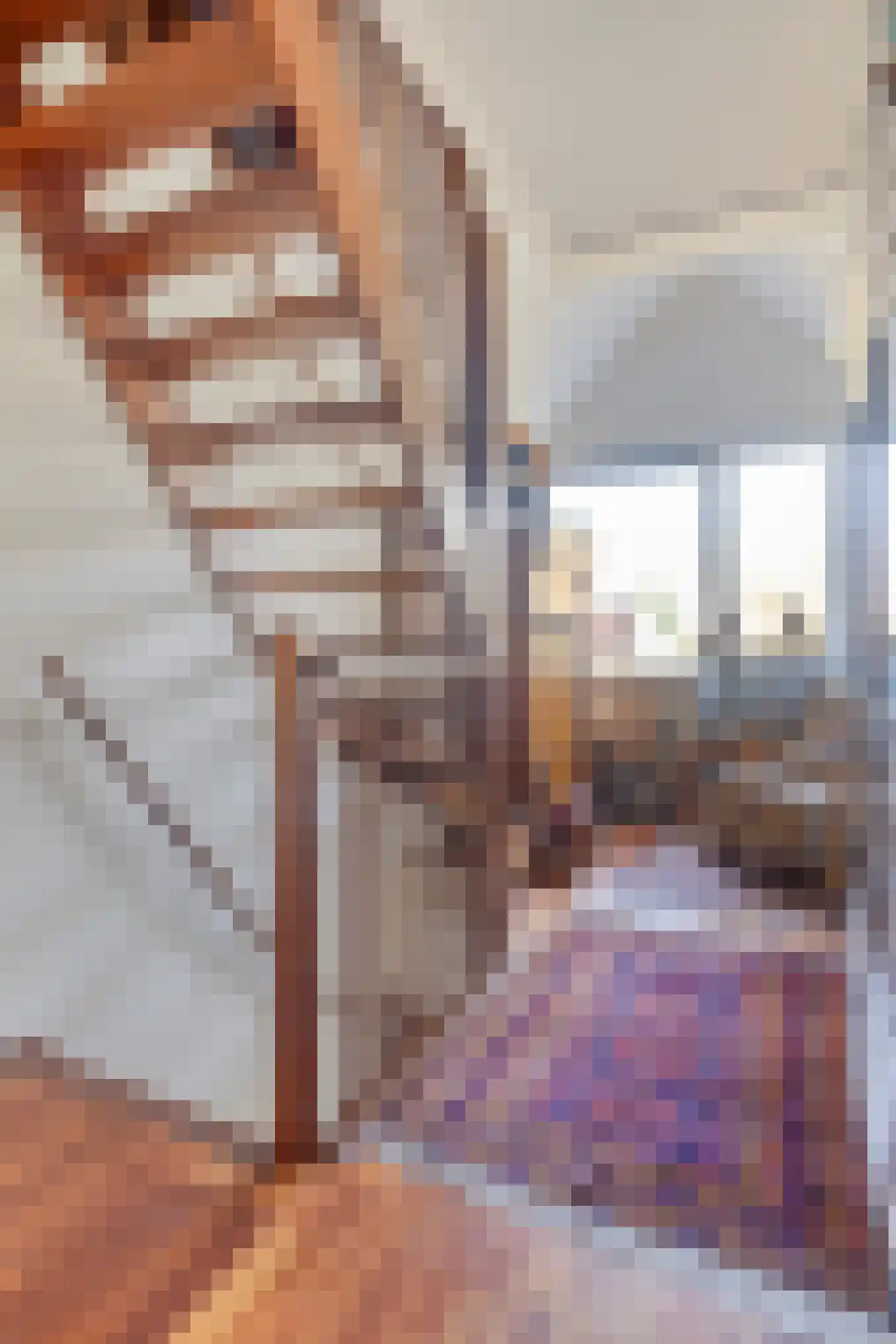 Molenstraat 10 Grijpskerke thumbnail 25