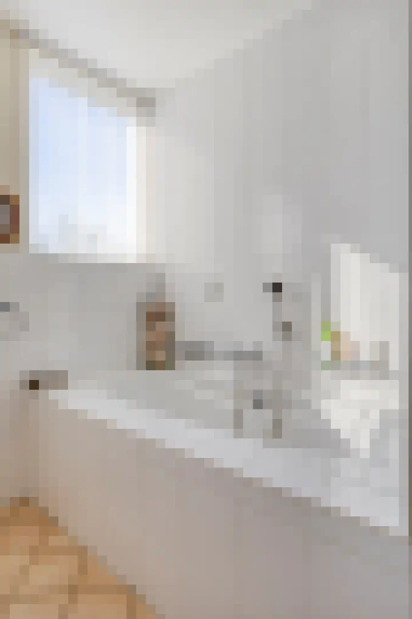 Molenstraat 10 Grijpskerke thumbnail 32