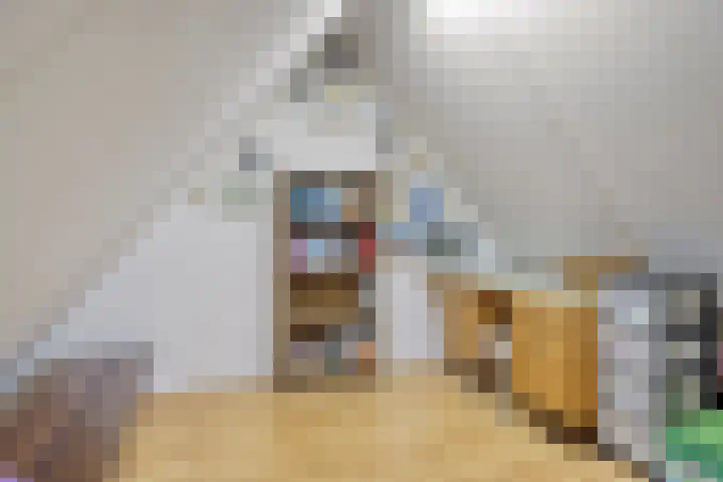Molenstraat 10 Grijpskerke thumbnail 39