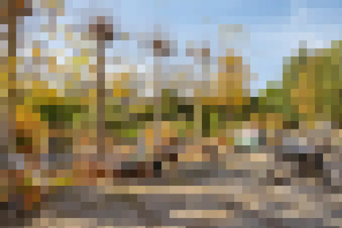 Molenstraat 10 Grijpskerke thumbnail 41