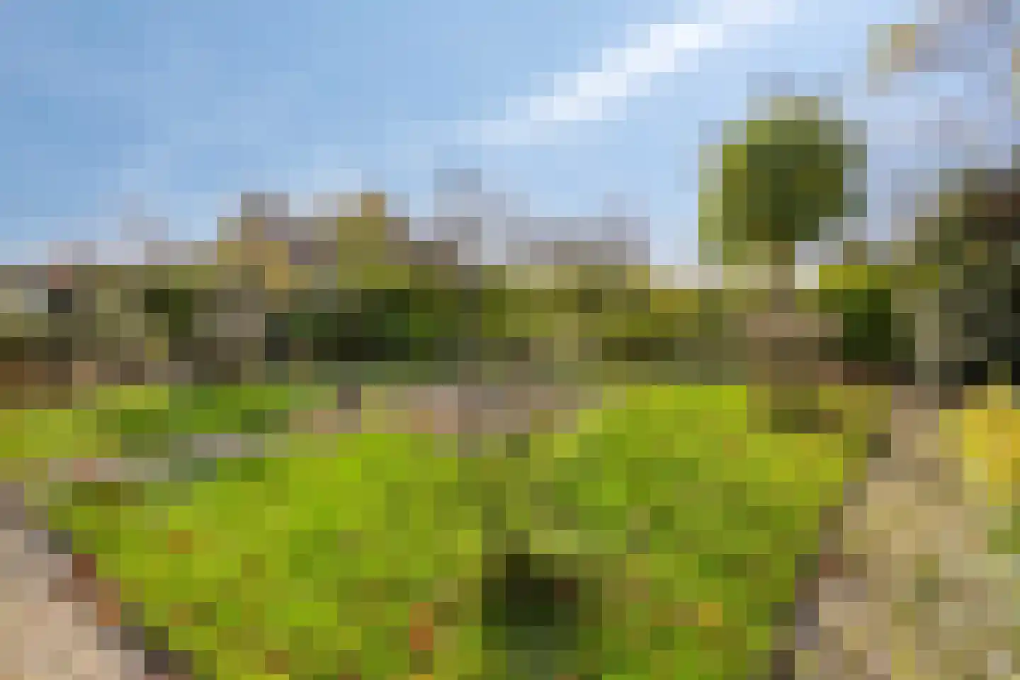Molenstraat 10 Grijpskerke thumbnail 42