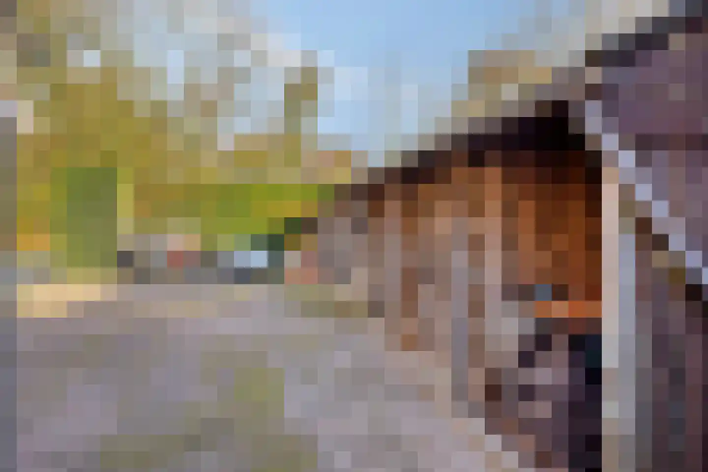 Molenstraat 10 Grijpskerke thumbnail 44