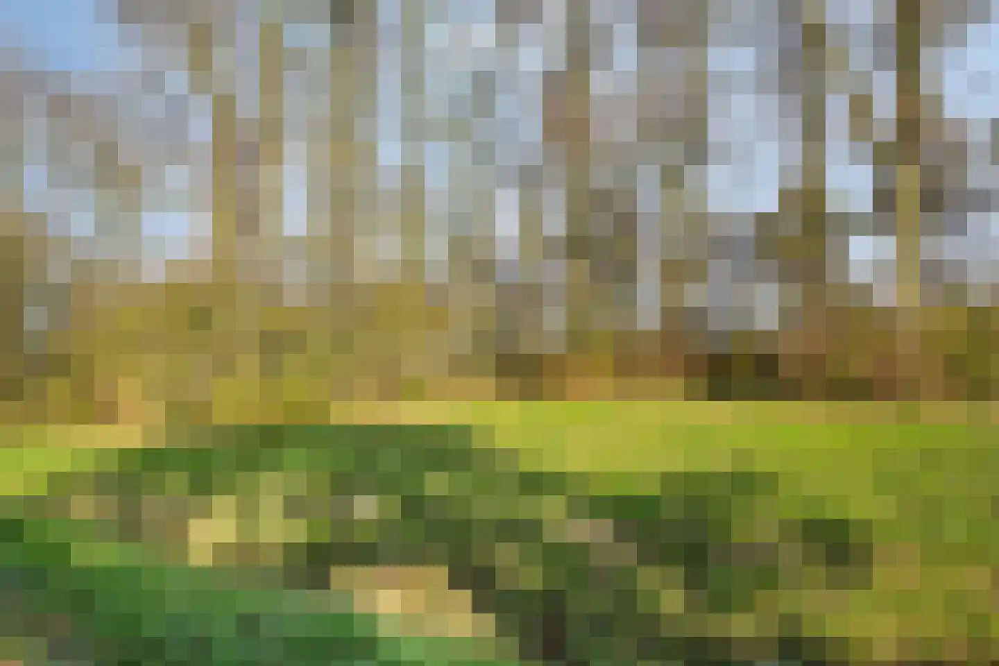 Molenstraat 10 Grijpskerke thumbnail 46