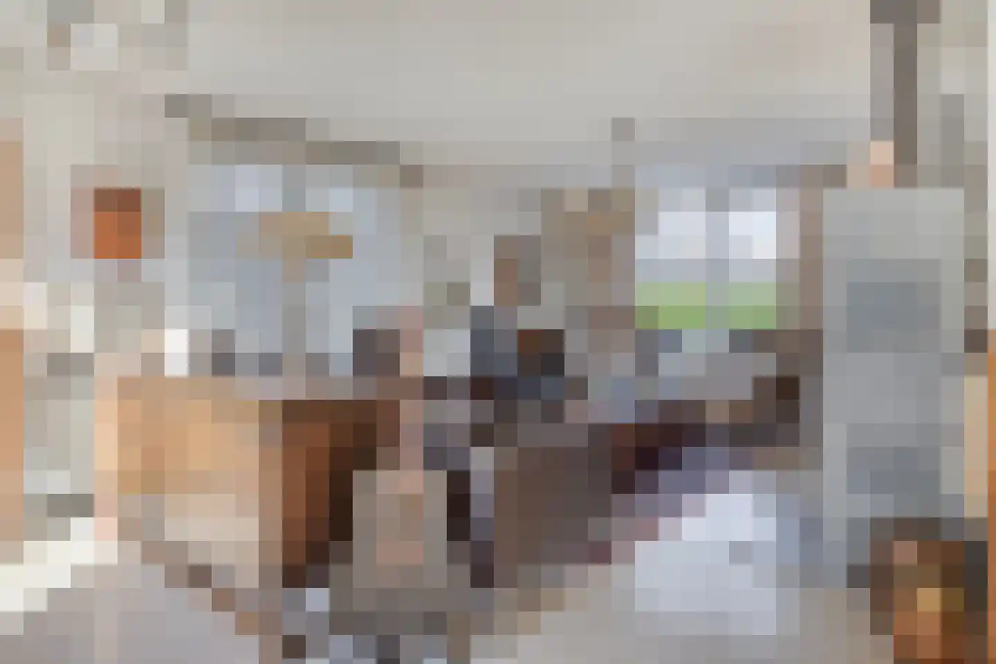 Molenstraat 10 Grijpskerke thumbnail 6