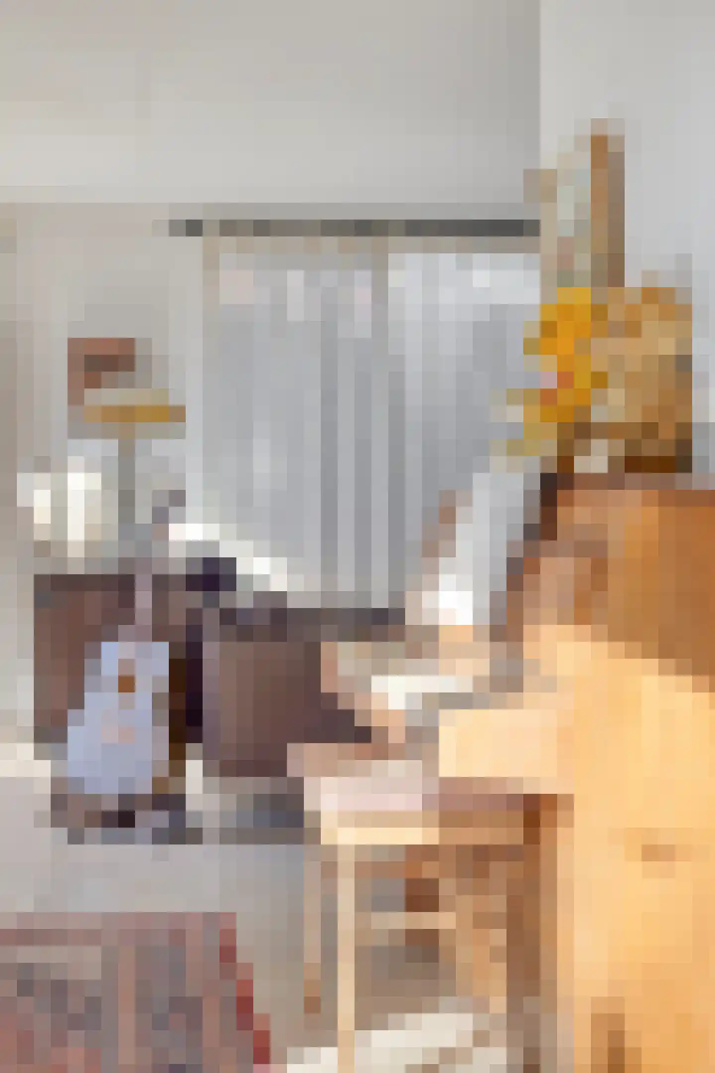 Molenstraat 10 Grijpskerke thumbnail 9
