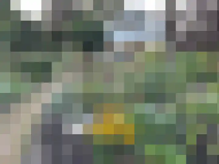 Molenstraat 10 Heumen thumbnail 47