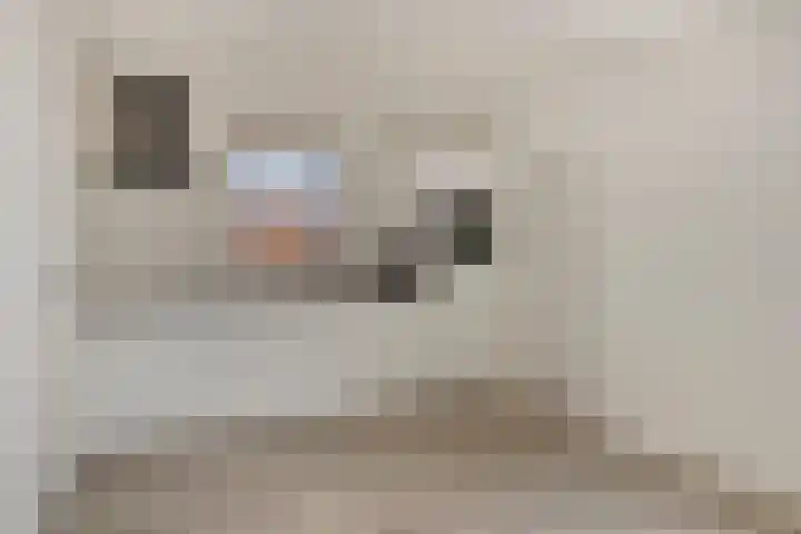 Molenstraat 10 Mill thumbnail 10