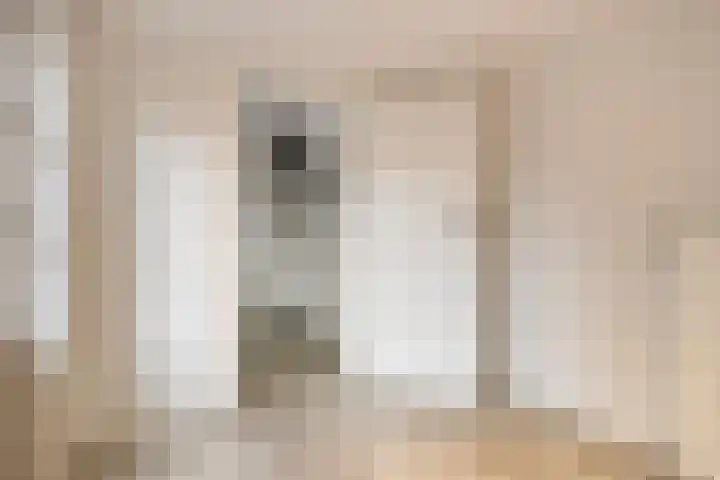 Molenstraat 10 Mill thumbnail 11