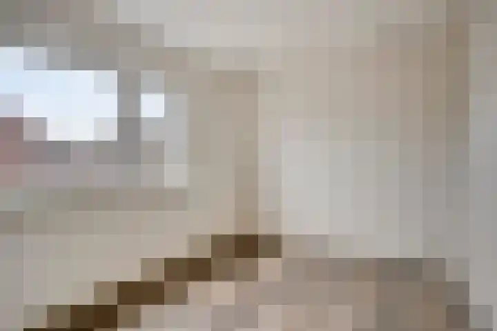 Molenstraat 10 Mill thumbnail 15