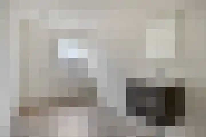 Molenstraat 10 Mill thumbnail 17